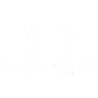 Wink Beauty